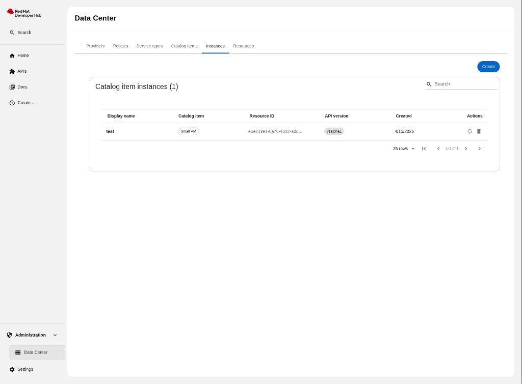 Instances tab showing a table of provisioned catalog item instances with columns for display name, catalog item, resource ID, API version, created date, and actions